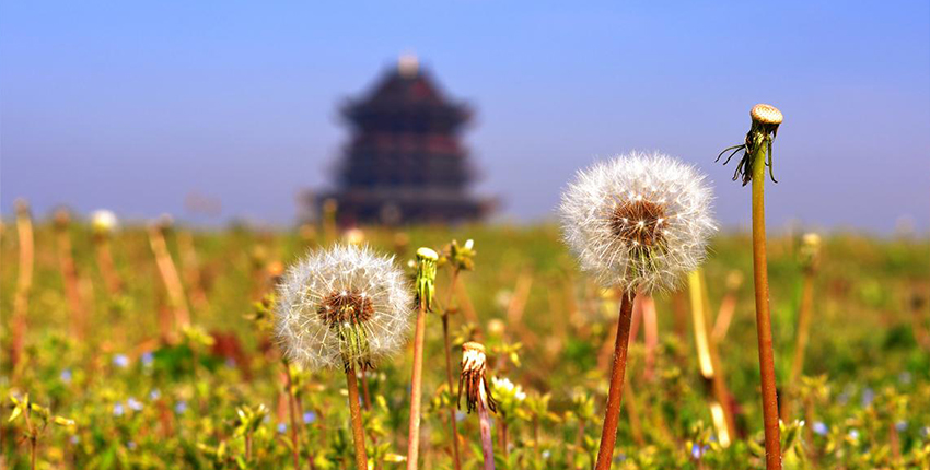 重元寺_比斯特苏州购物村（奕欧来）