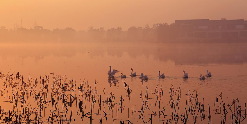 莲池湖公园_比斯特苏州购物村(奕欧来) 莲池湖公园_比斯特苏州购物村(奕欧来)