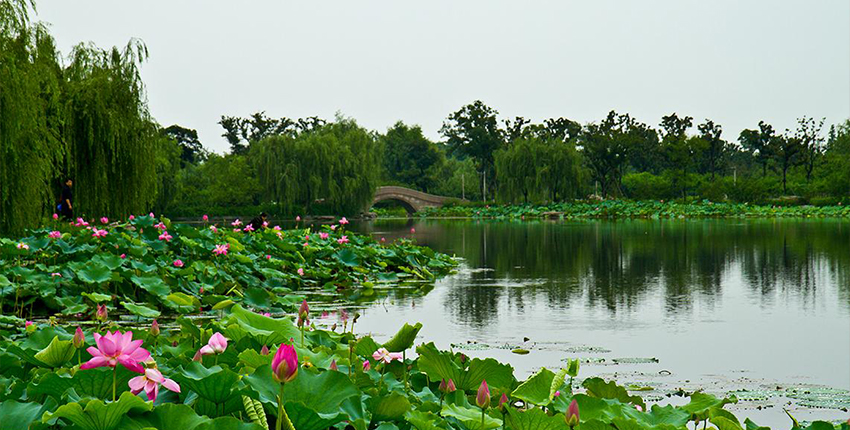 莲池湖公园_比斯特苏州购物村(奕欧来) 莲池湖公园_比斯特苏州购物村(奕欧来)