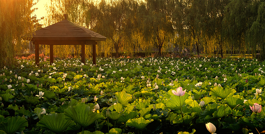 莲池湖公园_比斯特苏州购物村(奕欧来) 莲池湖公园_比斯特苏州购物村(奕欧来)