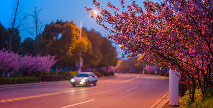 仙樱湖公园_比斯特苏州购物村（奕欧来）