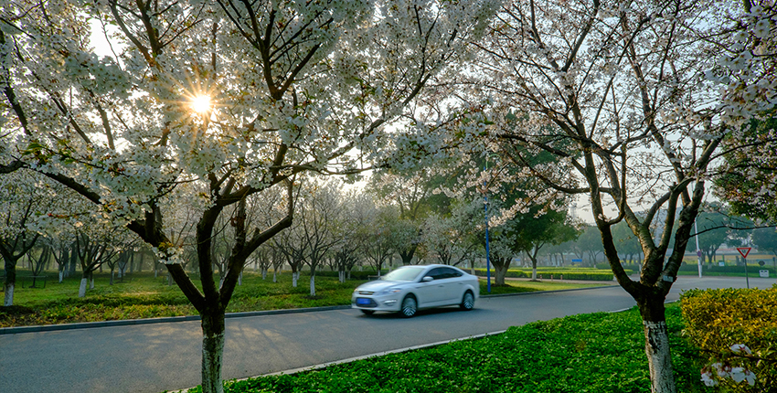 仙樱湖公园_比斯特苏州购物村（奕欧来）