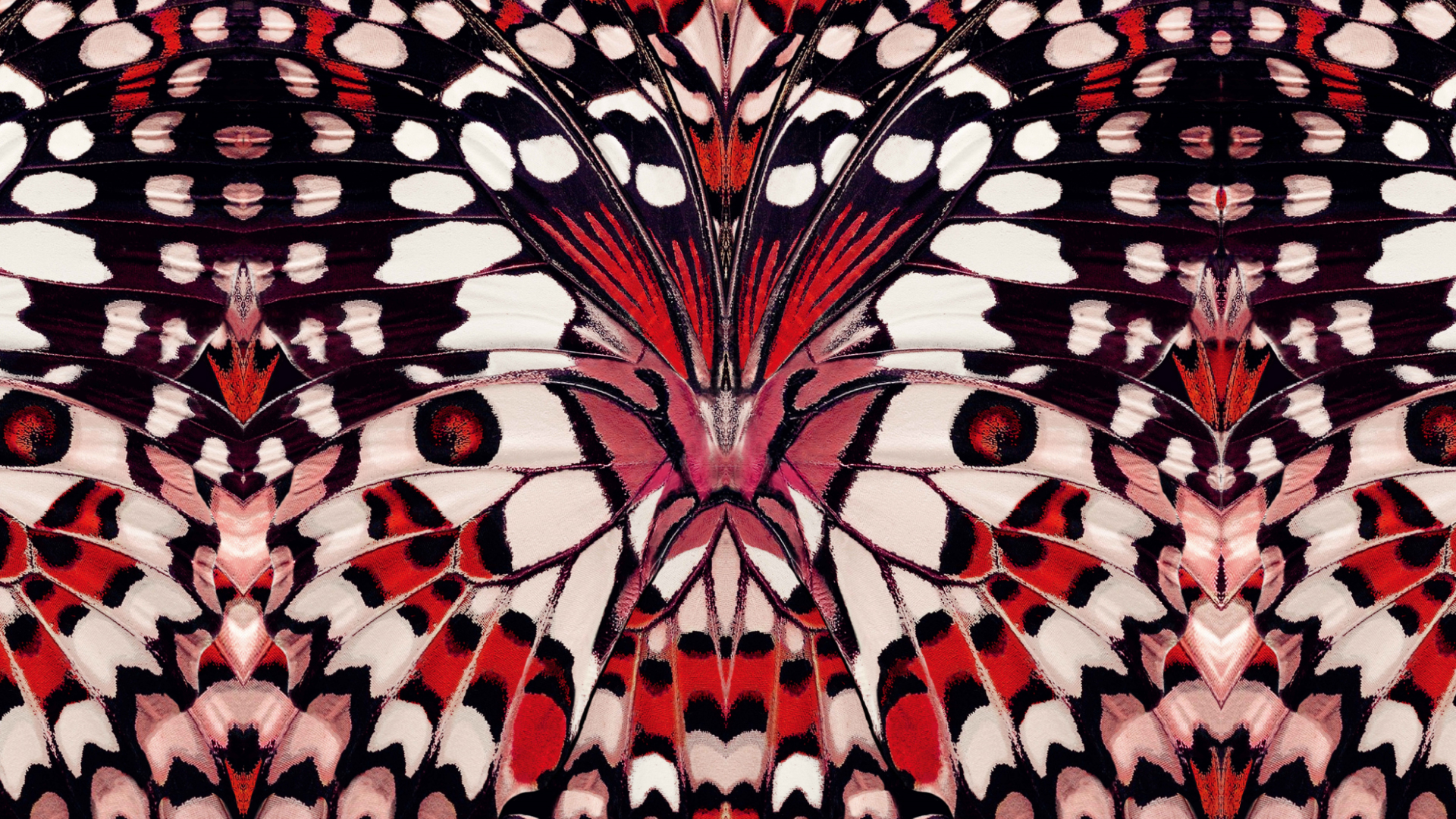 【Alexander McQUEEN亚历山大麦昆】折扣店_比斯特苏州购物村（奕欧来奥特莱斯）